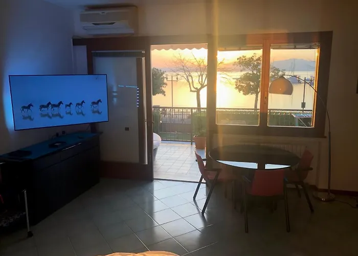 Rainer - Front باردولينو