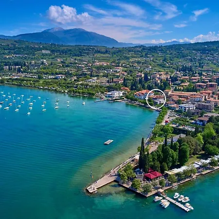 Rainer - Front * Bardolino